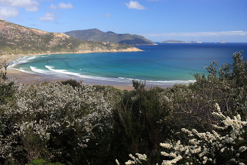 IMG_6343a.jpg - Wilsons Promontory