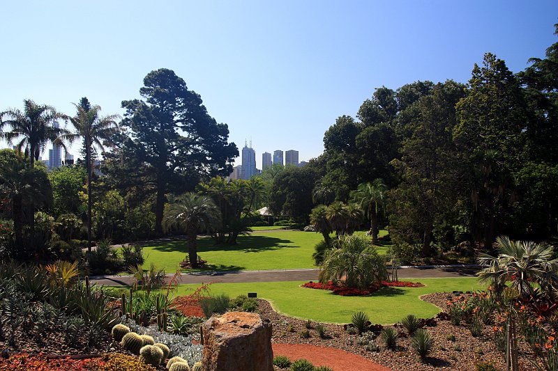 IMG_6408a.jpg - Botanical Garden, Melbourne