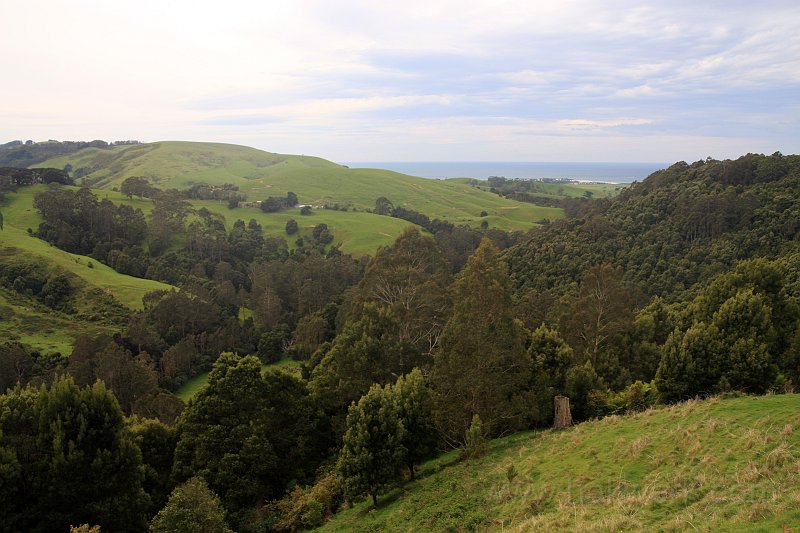 IMG_6572a.jpg - Great Ocean Road