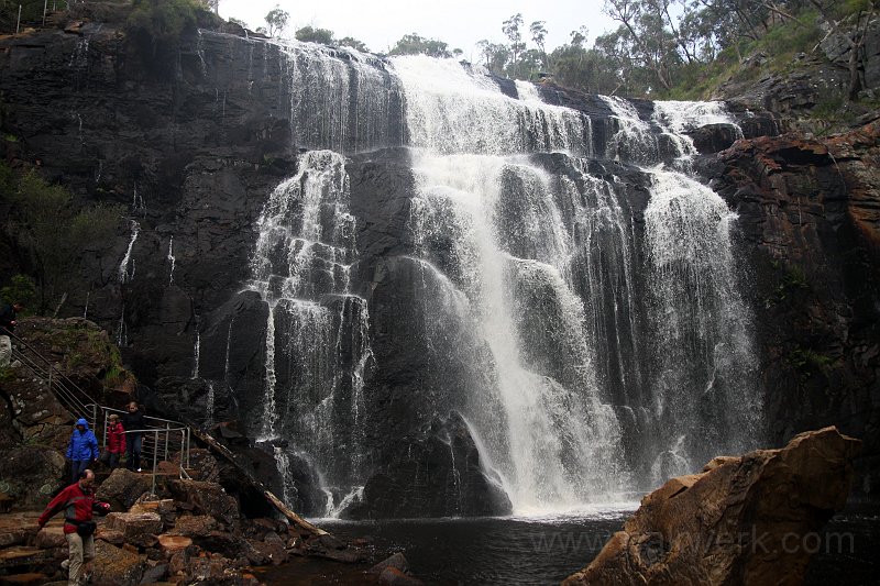IMG_6870a.jpg - Mackenzie Falls, Grampians NP