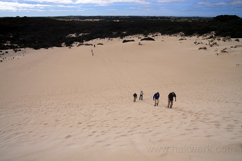 IMG_7177a.jpg - Little Sahara, Kangaroo Island