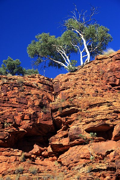 IMG_7459a.jpg - Kings Canyon