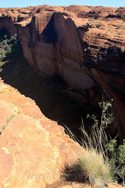 IMG_7491a.jpg - Kings Canyon