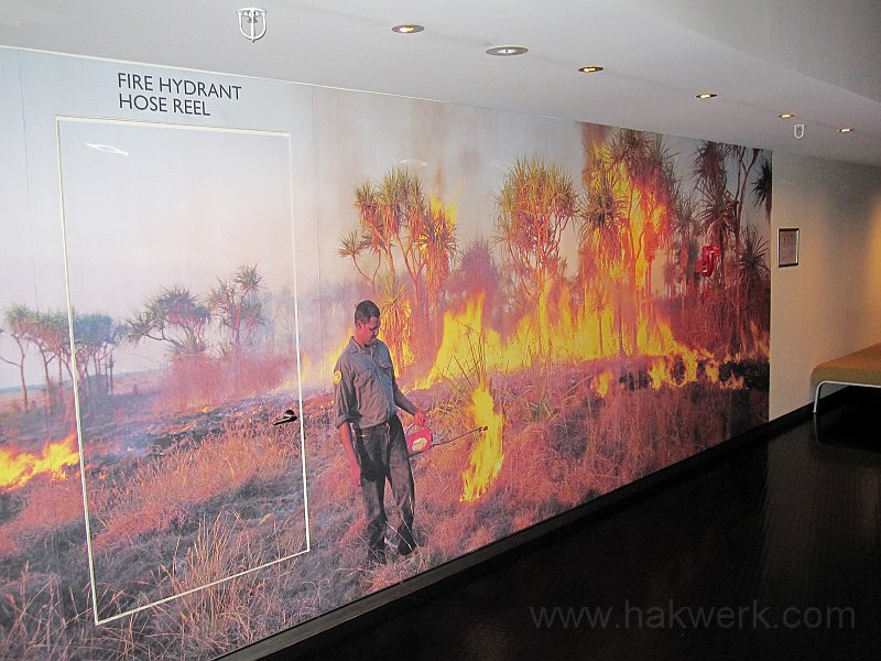 IMG_6128_0960a.jpg -                                