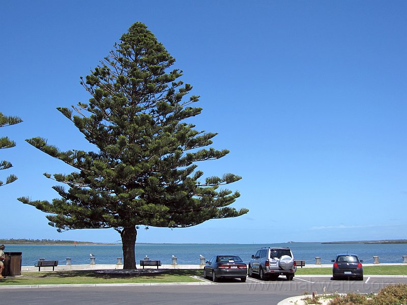 IMG_6223_0995a.jpg -                                