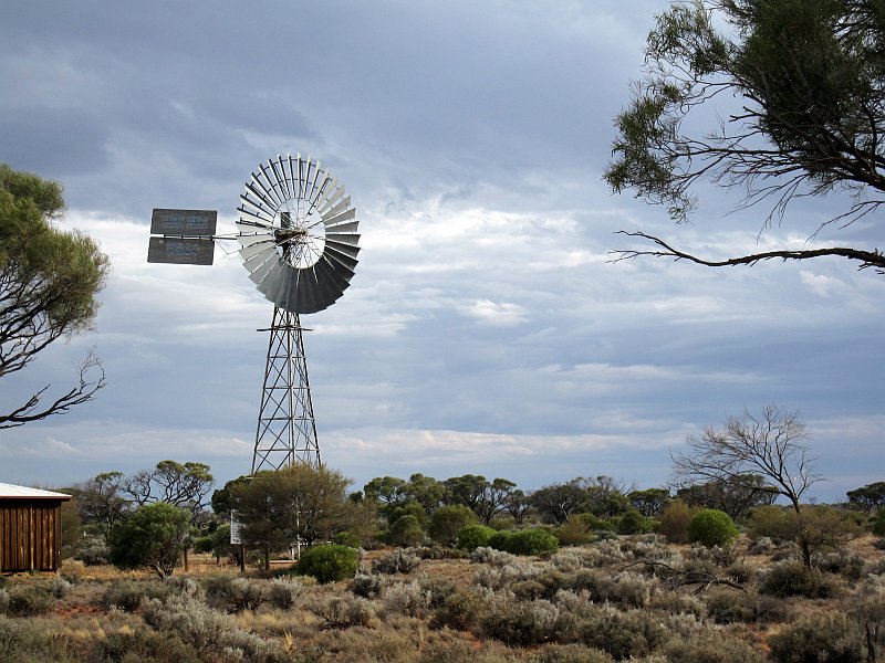 IMG_7340_1059a.jpg -                                